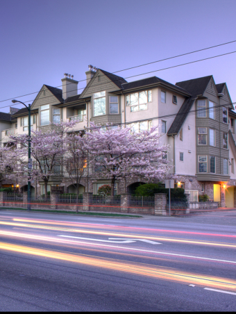 bloomfields_garden_thumbnail