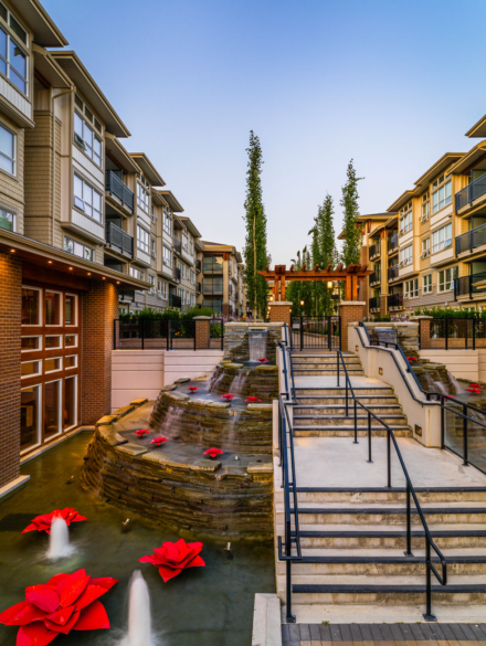 201407_RCA157_saffron_H4_0099