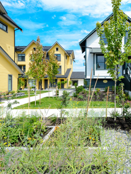 Avalon_mews_page_image